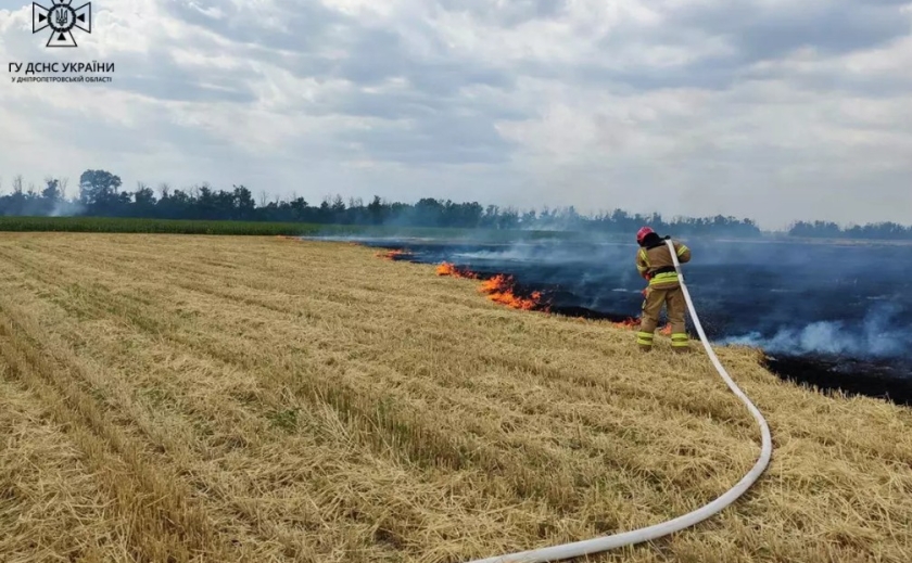 Зайнялося після жнив: у Зеленодольську ліквідовано пожежу на сільгоспугідді